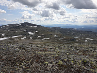 przyboro_20200826_5f462848a3818.jpg