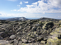 przyboro_20200826_5f462852cf6d4.jpg