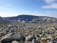 przyboro_20200826_5f462859d9211.jpg