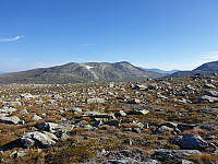 przyboro_20200826_5f462865ed6eb.jpg