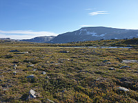 przyboro_20200826_5f462e36e25b4.jpg