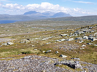 przyboro_20200826_5f462e472fe30.jpg