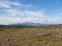przyboro_20200826_5f4687d7d5f05.jpg