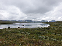przyboro_20200826_5f4687e6414b1.jpg