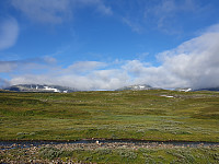 przyboro_20200826_5f4687f0adaa2.jpg