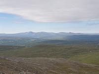 przyboro_20200826_5f46906a465c9.jpg
