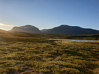 przyboro_20200826_5f46927f2b8a6.jpg