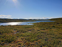 przyboro_20200826_5f469283ad49e.jpg