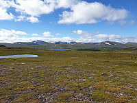 przyboro_20200826_5f46928b258e8.jpg