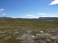przyboro_20200826_5f469292ba85f.jpg