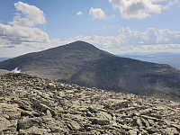 przyboro_20200827_5f47a0d124f56.jpg