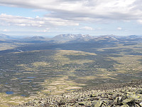 przyboro_20200827_5f47a0d670002.jpg