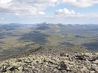 przyboro_20200827_5f47a0d8c8baa.jpg
