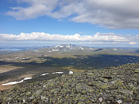przyboro_20200827_5f47a0db4c07f.jpg