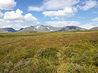 przyboro_20200827_5f47a210ec359.jpg