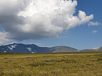 przyboro_20200827_5f47a213650f2.jpg