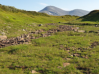przyboro_20200827_5f47a21e2f116.jpg