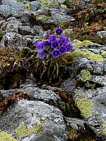 przyboro_20201206_5fcd29188655d.jpg