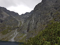 przyboro_20201206_5fcd292129072.jpg