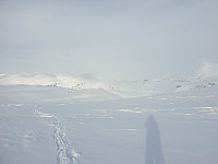 przyboro_20201206_5fcd30a649881.jpg