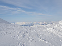 przyboro_20201206_5fcd30ab94a06.jpg