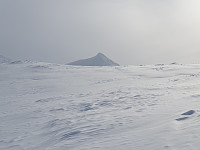 przyboro_20201206_5fcd30bfb3576.jpg