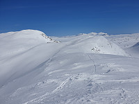 przyboro_20201206_5fcd34527a76f.jpg