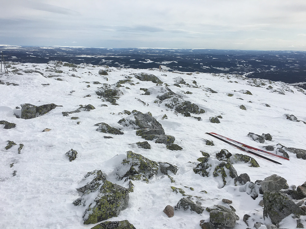 Utsikt mot Sverige fra toppen av Trysilfjellet.