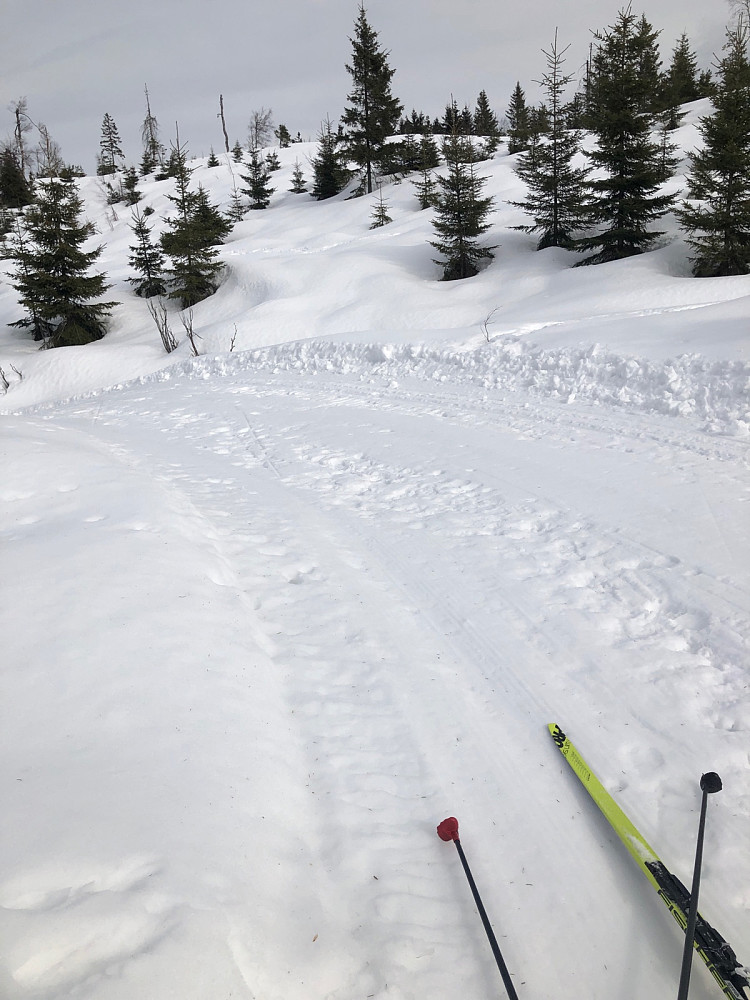 For å komme til «sørøst for Nipkollen» måtte jeg gå utenfor løypa opp bakken på bildet. En avstikker på 100 meter.