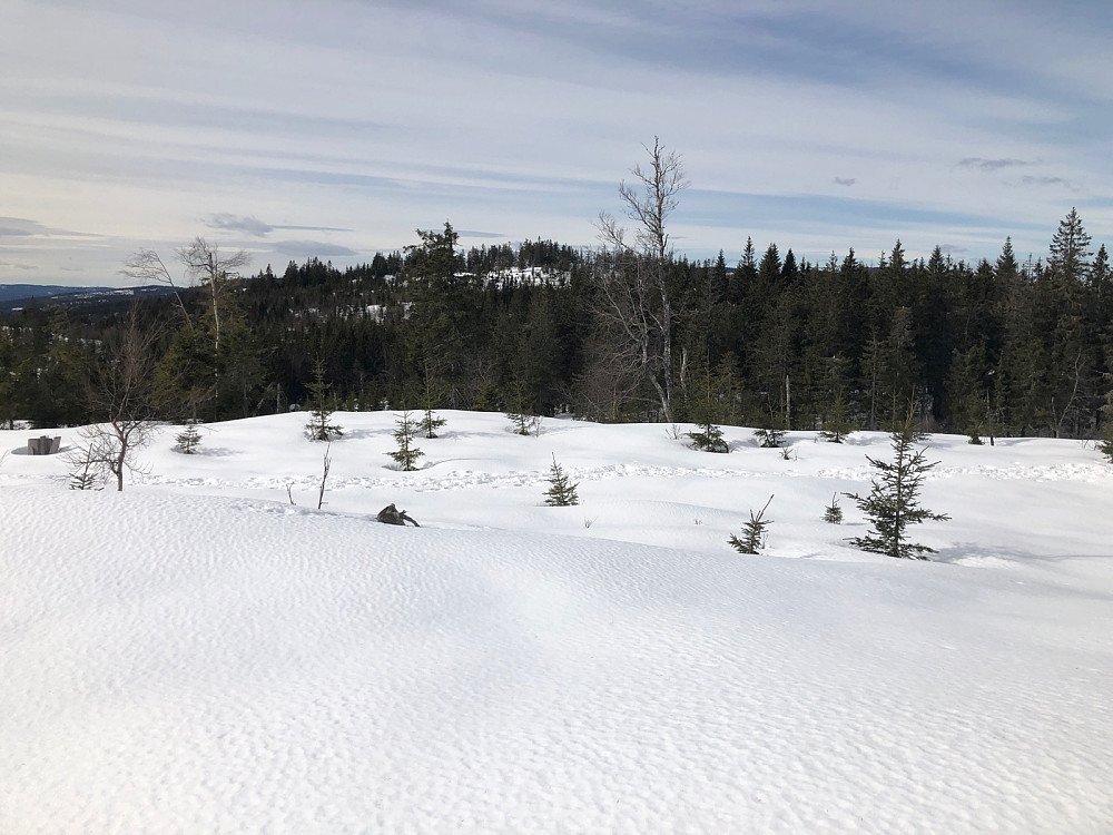 Utsikt mot Nipkollen.