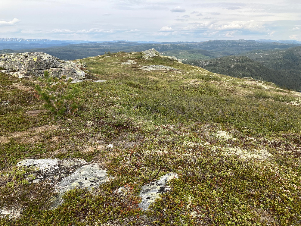 Utsikt nordover fra Lislelinatten.