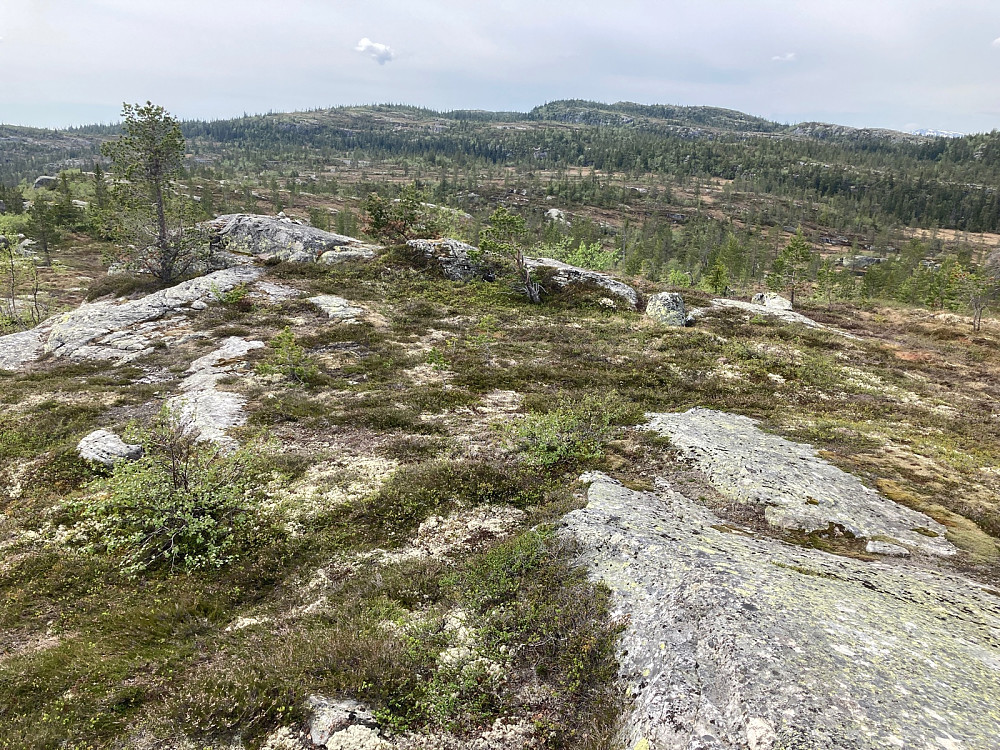 Utsikt mot Vardefjell.