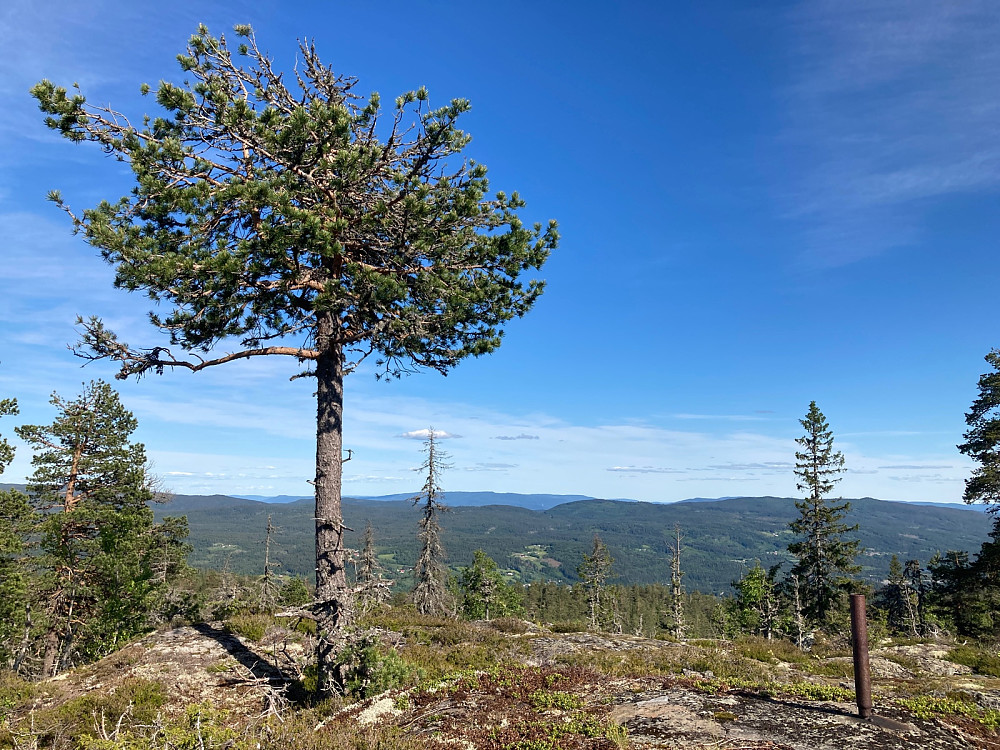 Toppunktet på Åslandåsen sør.