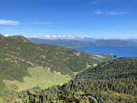 OdinB_20210622_60d21474e5cfa.jpg