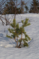 gitteval_20150315_5505f94e24bc4.jpg
