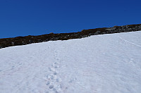 gitteval_20150721_55ae7e22bbbf5.jpg