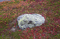 gitteval_20151007_5615688a12a3b.jpg