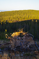 gitteval_20151109_563fe040af5fc.jpg