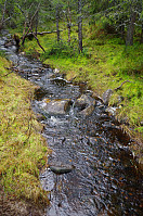 gitteval_20151109_563ff1c0a0977.jpg