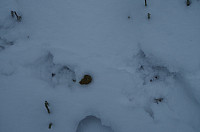 gitteval_20160101_5686a72c36518.jpg