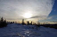 gitteval_20160130_56ad085a11553.jpg