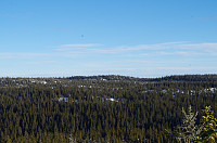 gitteval_20160131_56ae2b5370ea8.jpg