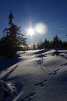 gitteval_20160131_56ae2bca38b67.jpg
