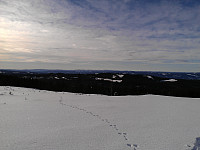gitteval_20160228_56d35e97e5cc3.jpg