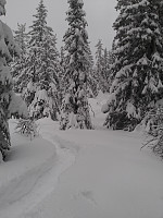 gitteval_20160305_56db332d1456b.jpg