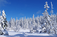 gitteval_20160308_56df5117e5e6d.jpg