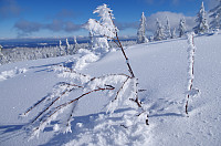 gitteval_20160308_56df517b8693b.jpg