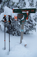 gitteval_20160309_56e0713f08692.jpg