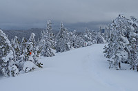 gitteval_20160309_56e07339d78ff.jpg