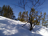 gitteval_20160319_56edc9beebf31.jpg